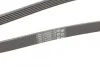 <strong>Пас поліклиновий MB W124/201/202/210 OM601/602/M11 CONTITECH 6PK2050 (фото 3)</strong>