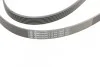 <strong>Пас поліклиновий MB W124/201/202/210 OM601/602/M11 CONTITECH 6PK2050 (фото 4)</strong>