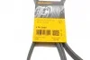 <strong>Пас поліклиновий MB W124/201/202/210 OM601/602/M11 CONTITECH 6PK2050 (фото 6)</strong>