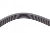 <strong>Пас поліклиновий MB Vito (W638) 2.2 CDI 96-/ T4 2 CONTITECH 6PK2077 (фото 4)</strong>