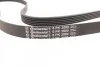 <strong>Ремінь поліклиновий MB Sprinter 2,3d 2,9d 96>00 ContiTech CONTITECH 6PK2080 (фото 4)</strong>
