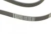 <strong>Пас поліклиновий MB Vito OM601/VW LT 2.5TDI (+AC) CONTITECH 6PK2100 (фото 3)</strong>