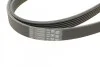 <strong>Пас поліклиновий MB Vito OM601/VW LT 2.5TDI (+AC) CONTITECH 6PK2100 (фото 4)</strong>