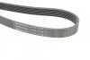 <strong>Пас поліклиновий MB C-class (W202)/E-class (W210) CONTITECH 6PK2130 (фото 3)</strong>