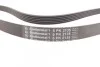 <strong>Ремінь поліклиновий Kia Cerato 1,6i 10>, Rio 1,6i 12> ContiTech CONTITECH 6PK2135 (фото 2)</strong>