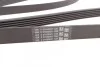 <strong>Ремінь поліклиновий Kia Cerato 1,6i 10>, Rio 1,6i 12> ContiTech CONTITECH 6PK2135 (фото 3)</strong>
