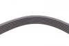 <strong>Ремінь поліклиновий Kia Cerato 1,6i 10>, Rio 1,6i 12> ContiTech CONTITECH 6PK2135 (фото 4)</strong>
