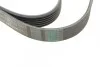 <strong>Пас поліклиновий VW LT 2.5TDI 96-06/Jeep Cherokee CONTITECH 6PK2145 (фото 3)</strong>