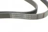 <strong>Пас поліклиновий VW LT 2.5TDI 96-06/Jeep Cherokee CONTITECH 6PK2145 (фото 4)</strong>