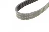 <strong>Пас поліклиновий MB C-class (W202/W204)/E-class (W CONTITECH 6PK2155 (фото 4)</strong>