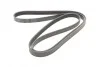 <strong>Пас поліклиновий MB C-class (W202/W204)/E-class (W CONTITECH 6PK2155 (фото 5)</strong>