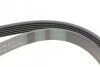 <strong>Пас поліклиновий MB Vito OM611 (+AC) CONTITECH 6PK2175 (фото 3)</strong>