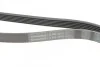 <strong>Пас поліклиновий MB Vito OM611 (+AC) CONTITECH 6PK2175 (фото 4)</strong>