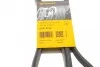 <strong>Пас поліклиновий MB Vito OM611 (+AC) CONTITECH 6PK2175 (фото 6)</strong>