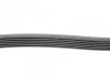 <strong>Пас поліклиновий MB C-class (W203) 00-08 CONTITECH 6PK2190 (фото 2)</strong>