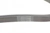 <strong>Пас поліклиновий MB C-class (W203) 00-08 CONTITECH 6PK2190 (фото 3)</strong>