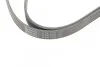 <strong>Пас поліклиновий MB C-class (W203) 00-08 CONTITECH 6PK2190 (фото 4)</strong>