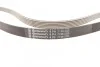 <strong>Пас поліклиновий MB Sprinter CDI (-AC) CONTITECH 6PK2196 (фото 3)</strong>