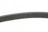 <strong>Ремінь поліклиновий MB Sprinter 2,2 CDI 09>, Vito 639 2,2CDI 10> ContiTech CONTITECH 6PK2215 (фото 2)</strong>
