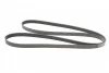 <strong>Ремінь поліклиновий MB Sprinter 2,2 CDI 09>, Vito 639 2,2CDI 10> ContiTech CONTITECH 6PK2215 (фото 5)</strong>