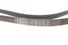 <strong>Пас поліклиновий Chevrolet Captiva/Cruze 2.2D 11- CONTITECH 6PK2220EXTRA (фото 2)</strong>