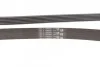 <strong>Пас поліклиновий Chevrolet Captiva/Cruze 2.2D 11- CONTITECH 6PK2220EXTRA (фото 3)</strong>