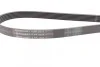 <strong>Пас поліклиновий VW T4 2.5 90-03/Ford Fiesta/Monde CONTITECH 6PK2225 (фото 2)</strong>