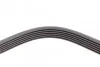 <strong>Пас поліклиновий VW T4 2.5 90-03/Ford Fiesta/Monde CONTITECH 6PK2225 (фото 3)</strong>