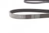 <strong>Пас поліклиновий VW T4 2.4D/2.5/2.5TDI 90-03/Lexus CONTITECH 6PK2236 (фото 2)</strong>