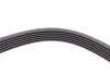 <strong>Пас поліклиновий VW T4 2.4D/2.5/2.5TDI 90-03/Lexus CONTITECH 6PK2236 (фото 3)</strong>