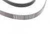 <strong>Пас поліклиновий MB W202/211 2.0/2.2/2.7 CDI CONTITECH 6PK2241 (фото 2)</strong>