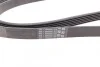 <strong>Пас поліклиновий MB W202/211 2.0/2.2/2.7 CDI CONTITECH 6PK2241 (фото 3)</strong>