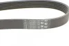 <strong>Ремінь поліклиновий Nissan X-Trail 2,0 01>, Primera P12 2,0 01> AC+ ContiTech CONTITECH 6PK2250 (фото 3)</strong>