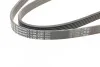 <strong>Пас поліклиновий MB Sprinter/MB Viano 2.2CDI 06- (CONTITECH 6PK2285 (фото 3)</strong>