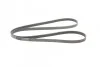 <strong>Пас поліклиновий MB Sprinter/MB Viano 2.2CDI 06- (CONTITECH 6PK2285 (фото 4)</strong>