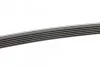 <strong>Пас поліклиновий Mazda 6 2.3 02-07/CX-7 2.5 MZR 09- CONTITECH 6PK2310 (фото 2)</strong>