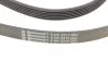 <strong>Пас поліклиновий Mazda 6 2.3 02-07/CX-7 2.5 MZR 09- CONTITECH 6PK2310 (фото 3)</strong>