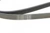 <strong>Пас поліклиновий Mazda 6 2.3 02-07/CX-7 2.5 MZR 09- CONTITECH 6PK2310 (фото 4)</strong>