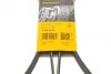 <strong>Пас поліклиновий Mazda 6 2.3 02-07/CX-7 2.5 MZR 09- CONTITECH 6PK2310 (фото 6)</strong>