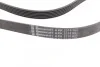 <strong>Пас поліклиновий MB W202/210 M112/113 97- (WP,PS) CONTITECH 6PK2315 (фото 2)</strong>