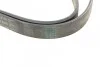 <strong>Пас поліклиновий MB W124/S124 M104 -96 CONTITECH 6PK2330 (фото 3)</strong>
