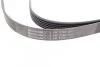 <strong>Пас поліклиновий MB W124/W164 CONTITECH 6PK2360 (фото 2)</strong>