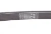 <strong>Пас поліклиновий MB W124/W164 CONTITECH 6PK2360 (фото 3)</strong>