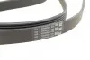 <strong>Пас поліклиновий на VW Passat 2.3 96-05 CONTITECH 6PK2370 (фото 3)</strong>