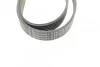 <strong>Пас поліклиновий на VW Passat 2.3 96-05 CONTITECH 6PK2370 (фото 4)</strong>