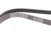 <strong>Пас поліклиновий MB W202/203 M112/W210/211/220 M11 CONTITECH 6PK2390 (фото 2)</strong>
