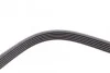 <strong>Пас поліклиновий MB W202/203 M112/W210/211/220 M11 CONTITECH 6PK2390 (фото 3)</strong>