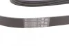 <strong>Ремінь поліклиновий MB ML164 350i 05>09, S221 280i 350i 500i ContiTech CONTITECH 6PK2404 (фото 2)</strong>