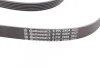 <strong>Ремінь поліклиновий MB ML164 350i 05>09, S221 280i 350i 500i ContiTech CONTITECH 6PK2404 (фото 3)</strong>