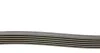 <strong>Комплект пасу поліклинового Audi A4/A6/A8/VW Pass CONTITECH 6PK2404K1 (фото 2)</strong>